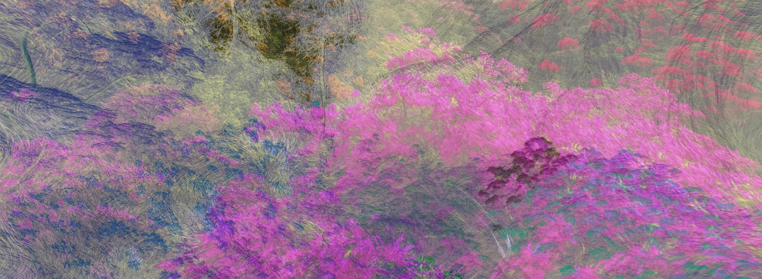 Minkowski Space Garden